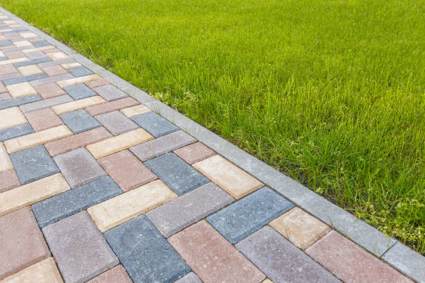 Best Driveway Repair Near Me  in Cedar Falls, IA